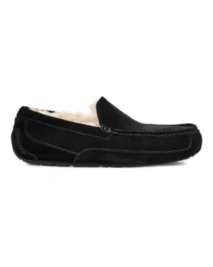 Ascot Slipper