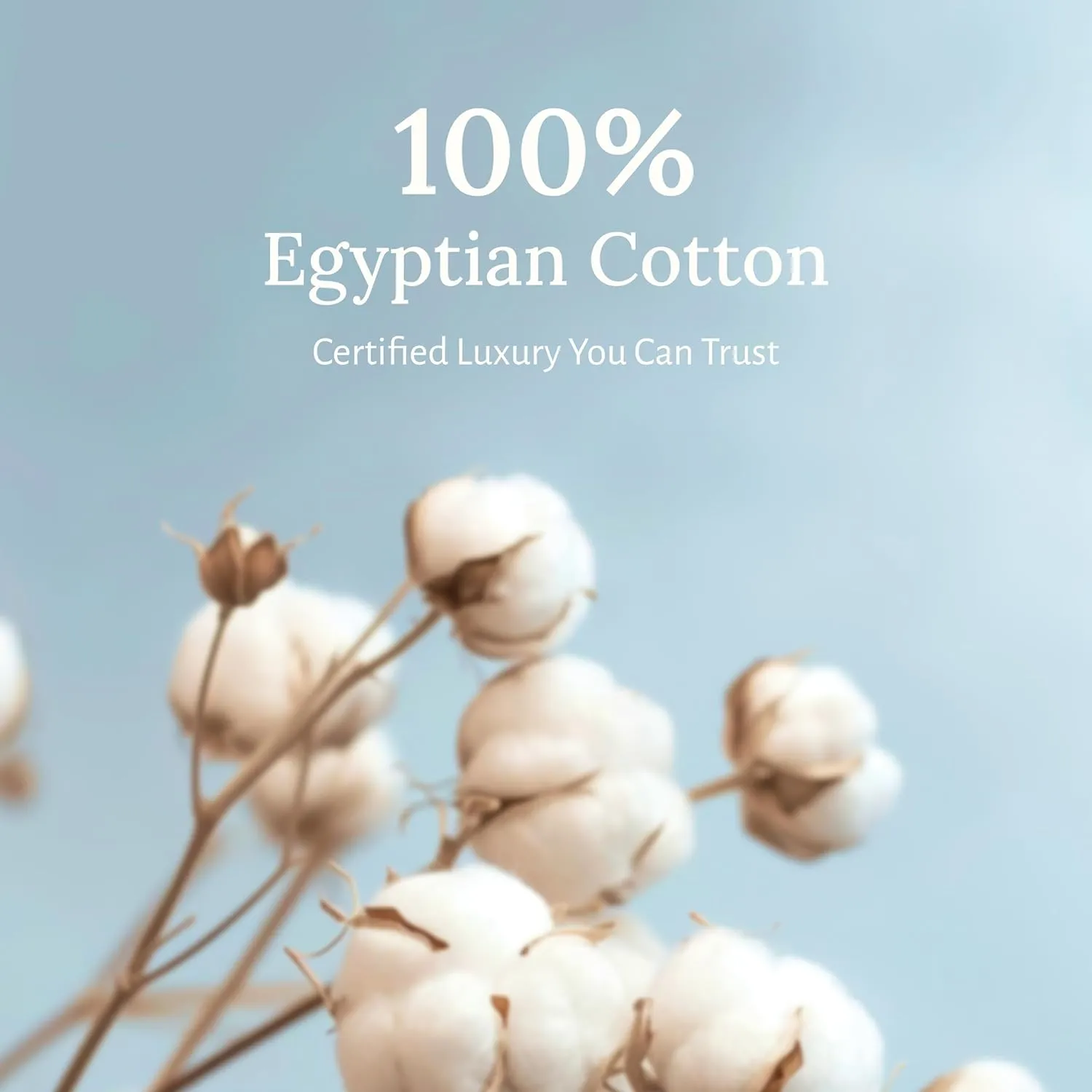 California Design Den Certified Luxury 100% Egyptian Cotton Bed Sheets Queen Size, Deep Pocket Bed Sheets Set, Sateen Cooling Sheets for Hot Sleepers, Ivory Sheet Set Queen
