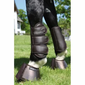 Catago Dressage Boots