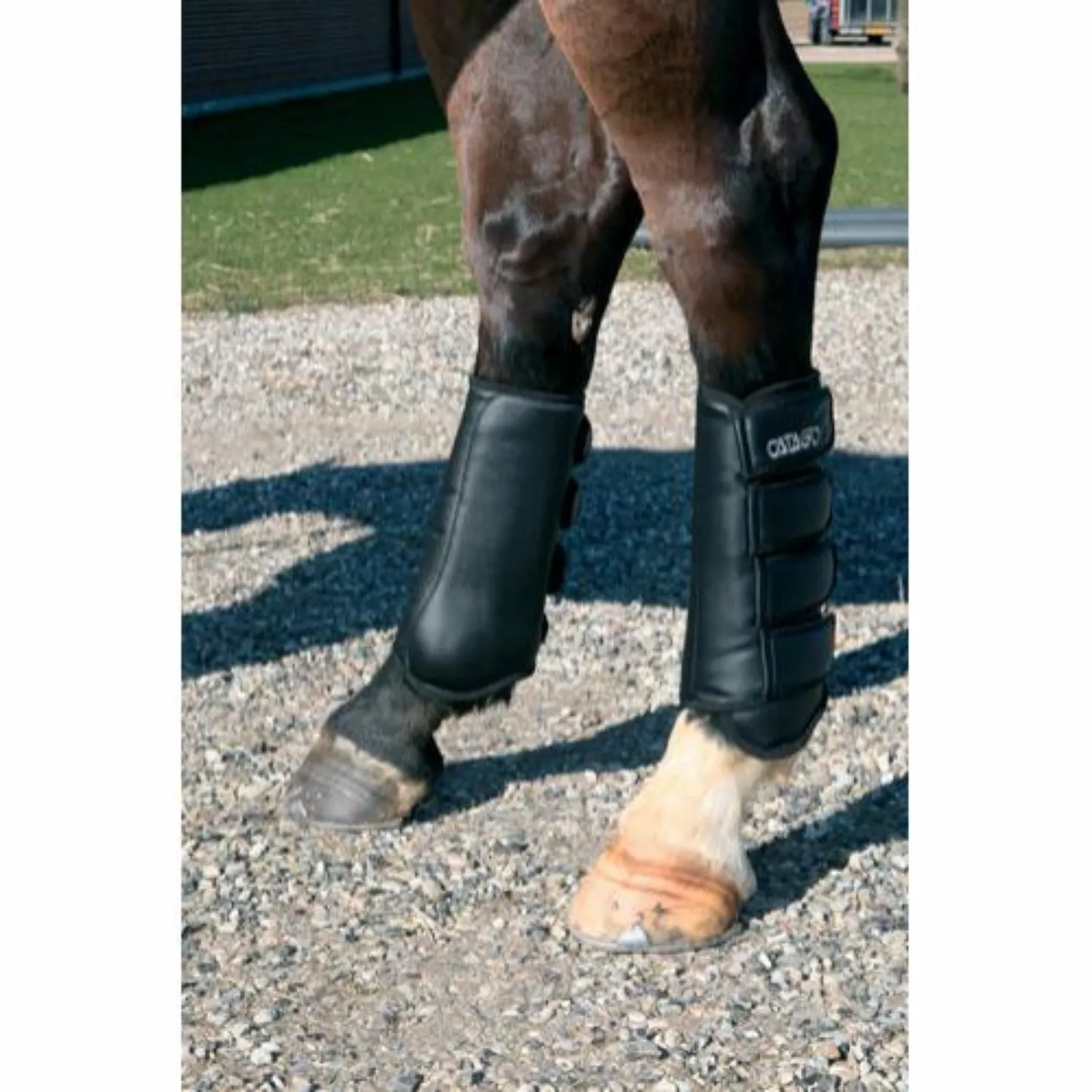 Catago Dressage Boots