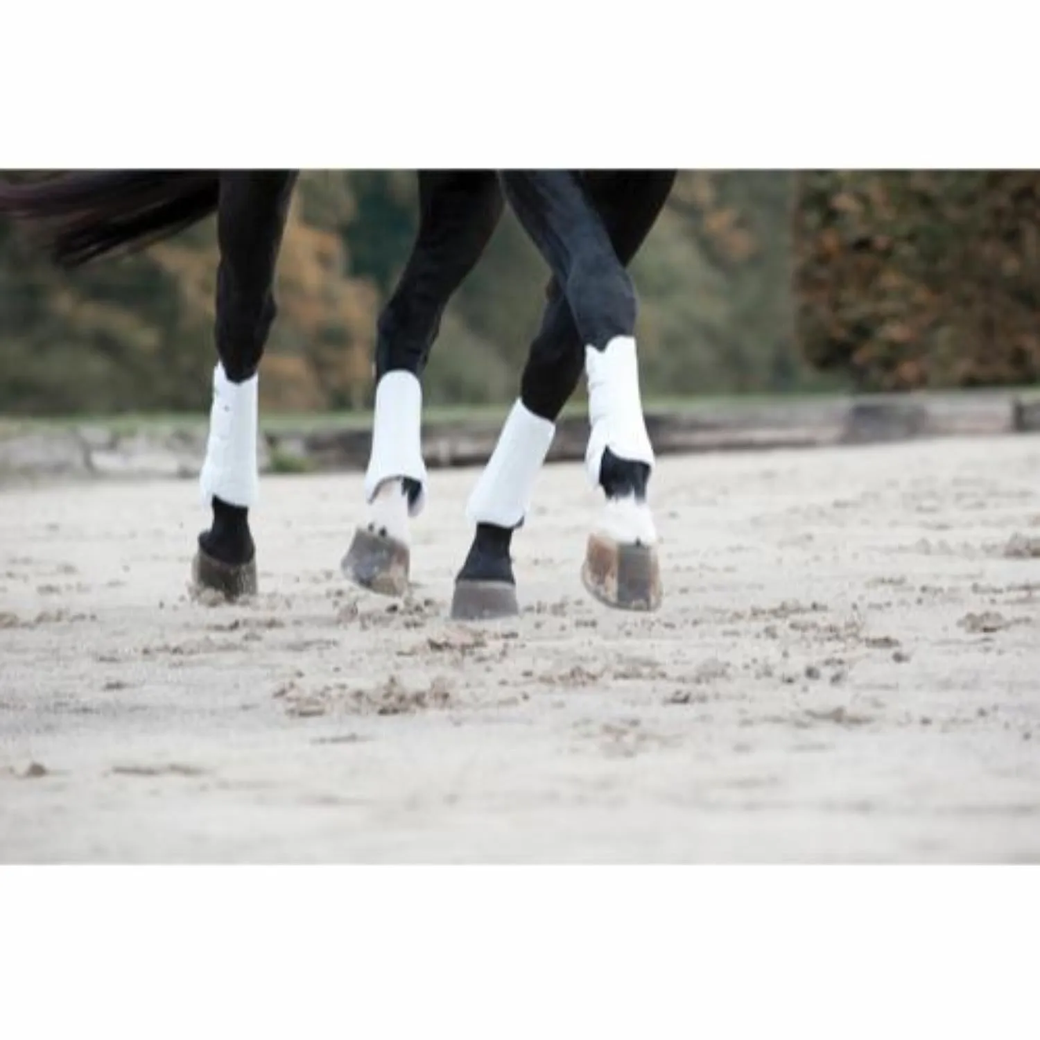 Catago Dressage Boots