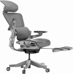 Ergonomic Office Chair with Foot Rest - Comfy Home Office Desk Computer Chair, Comfortable Mesh Seat with Adjustable Back Support, Swivel Wheels, Flip-up Arms, for Work Gaming Study (Gray, Standard)