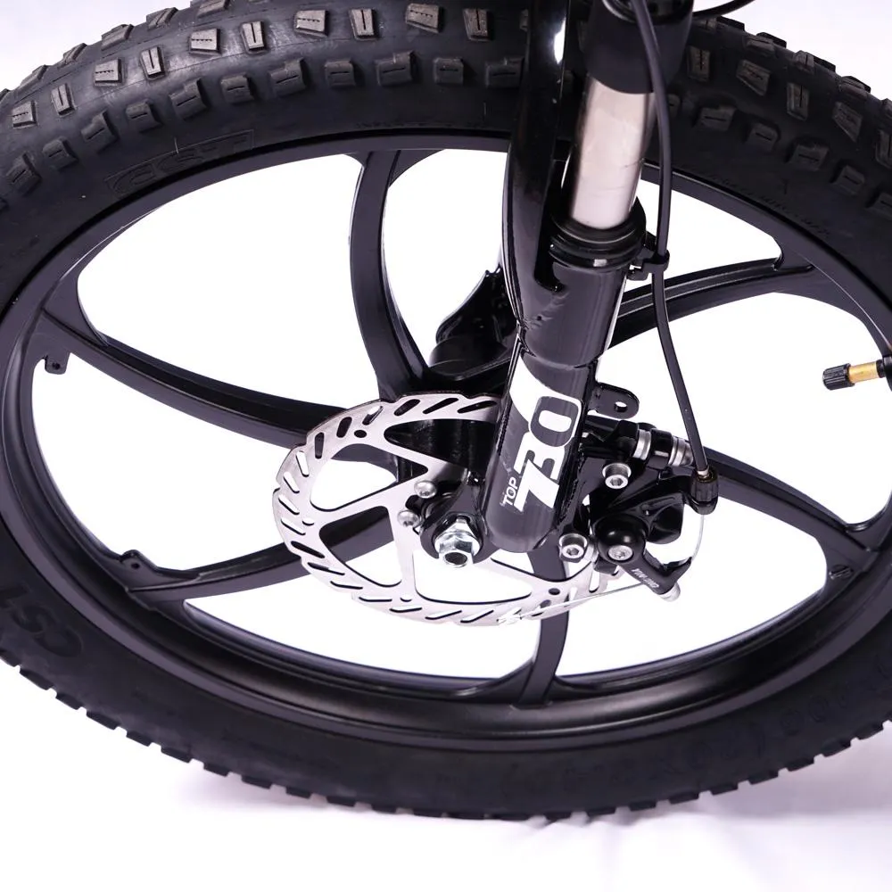 Foldable Aluminium Electric Bicycle With Pedal Assist 48 v