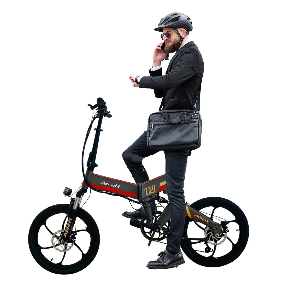 Foldable Aluminium Electric Bicycle With Pedal Assist 48 v