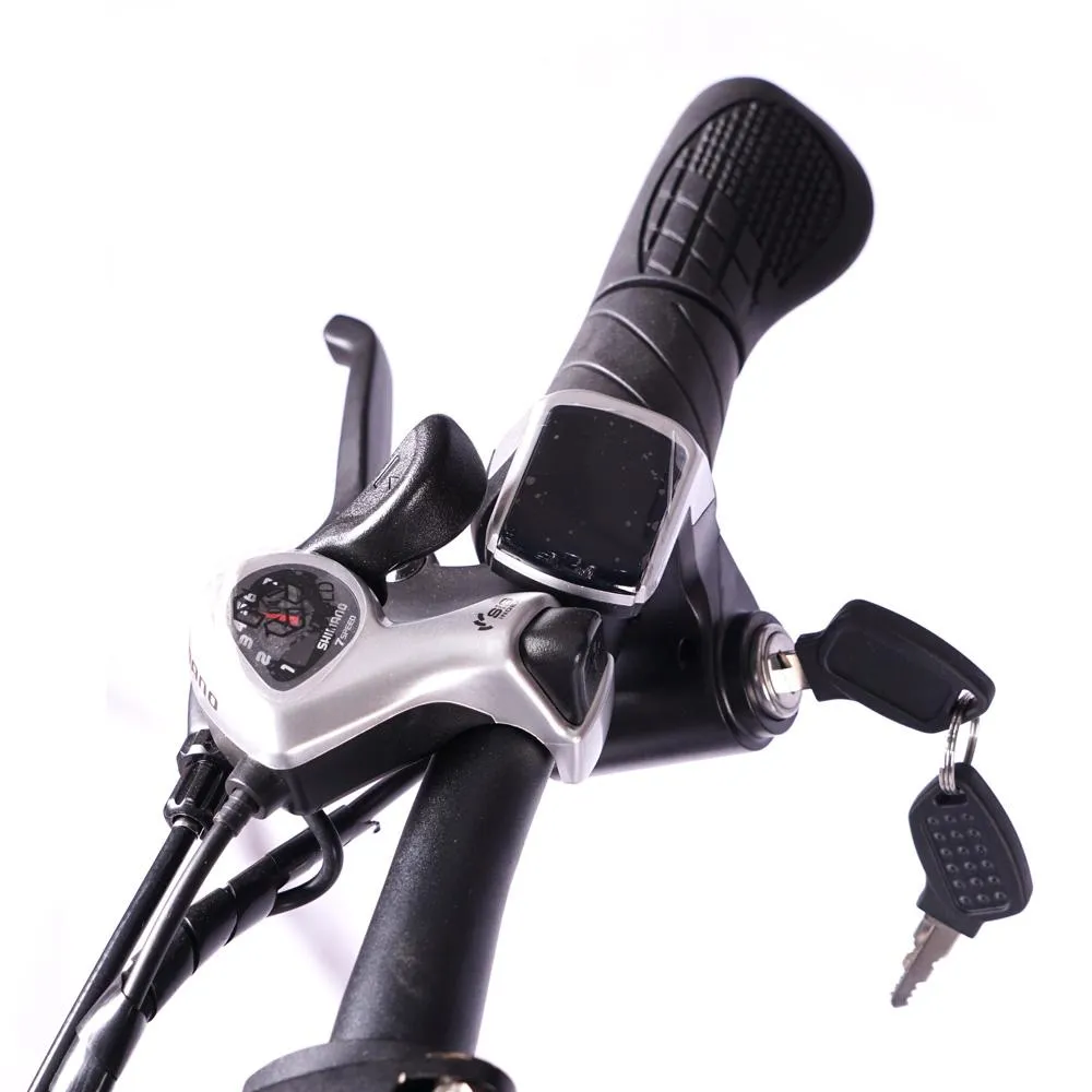 Foldable Aluminium Electric Bicycle With Pedal Assist 48 v