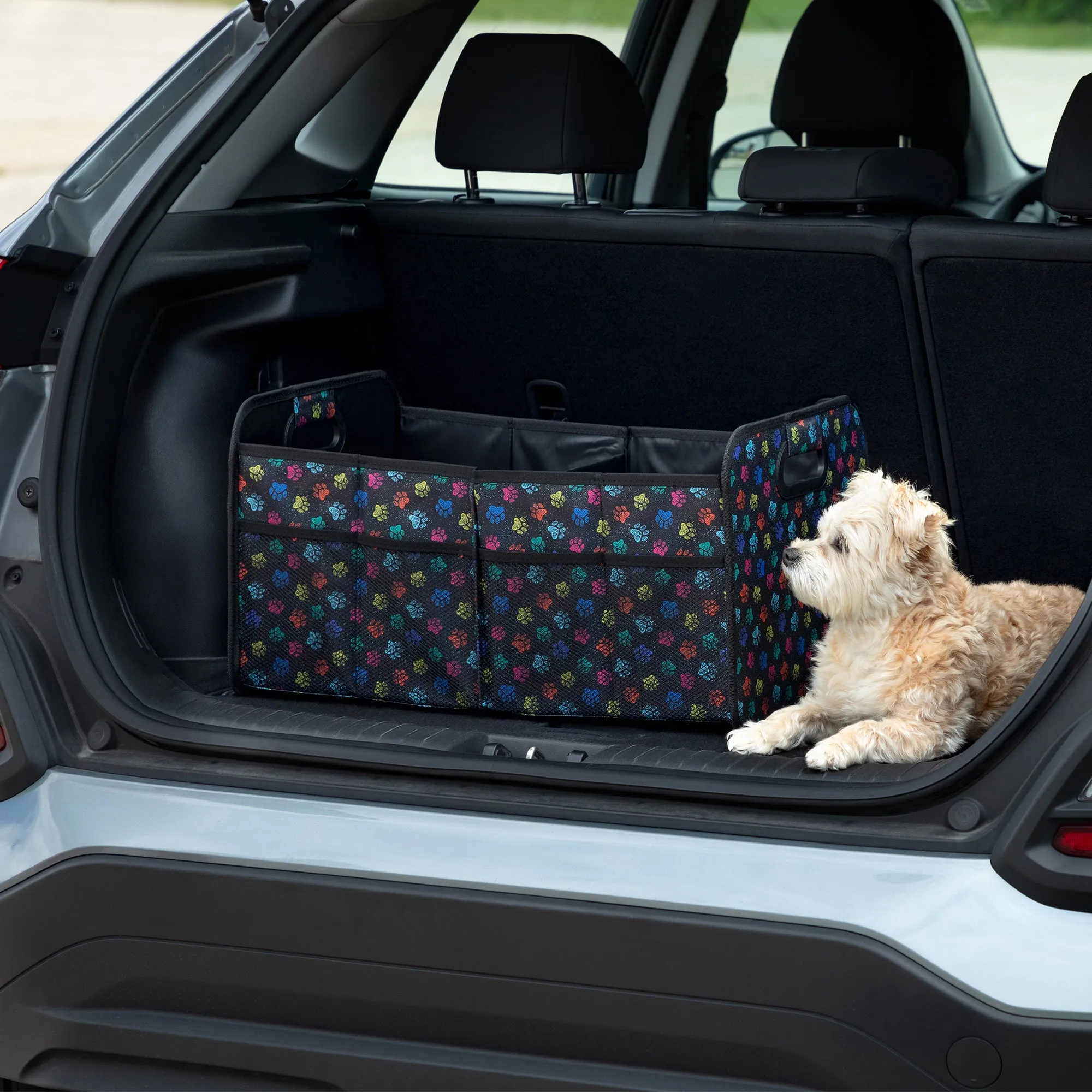 Paws Large Foldable Car Trunk Organizer