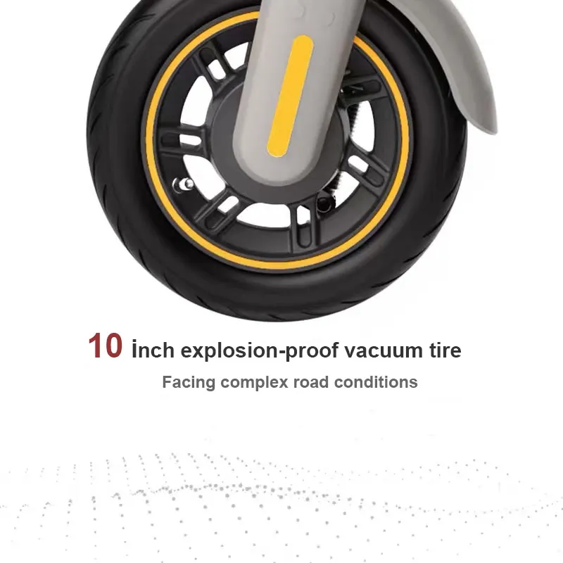 Pro Max Foldable Power Electric Scooter 48v