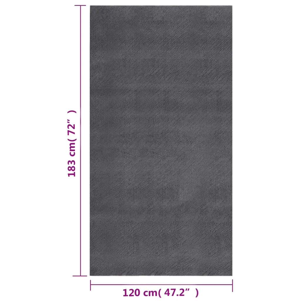 Shaggy Rug Washable Anti Slip Area Rug Soft Fluffy Carpet Polyester