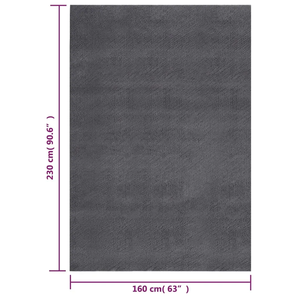 Shaggy Rug Washable Anti Slip Area Rug Soft Fluffy Carpet Polyester