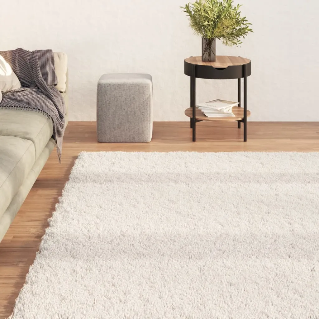 Shaggy Rug Washable Anti Slip Area Rug Soft Fluffy Carpet Polyester
