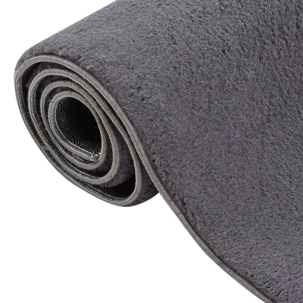 Shaggy Rug Washable Anti Slip Area Rug Soft Fluffy Carpet Polyester