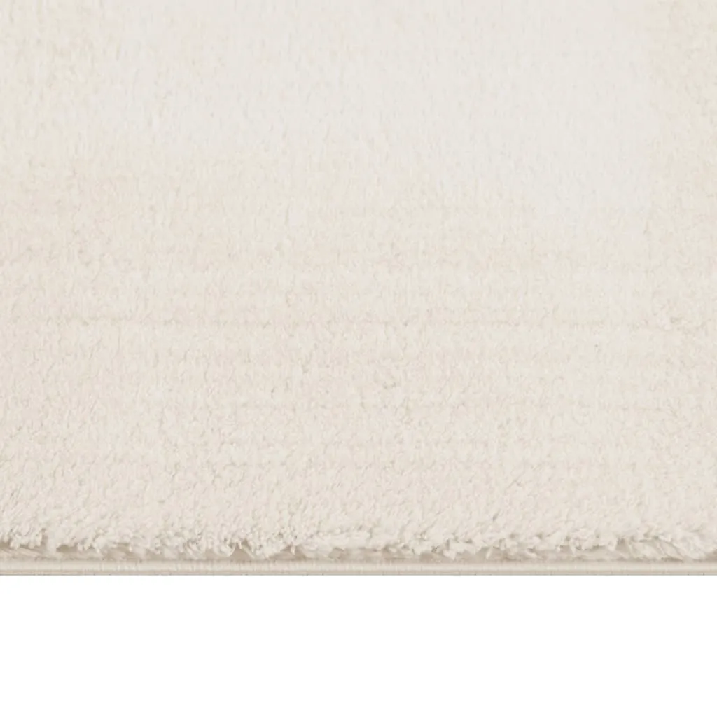Shaggy Rug Washable Anti Slip Area Rug Soft Fluffy Carpet Polyester