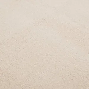 Shaggy Rug Washable Anti Slip Area Rug Soft Fluffy Carpet Polyester