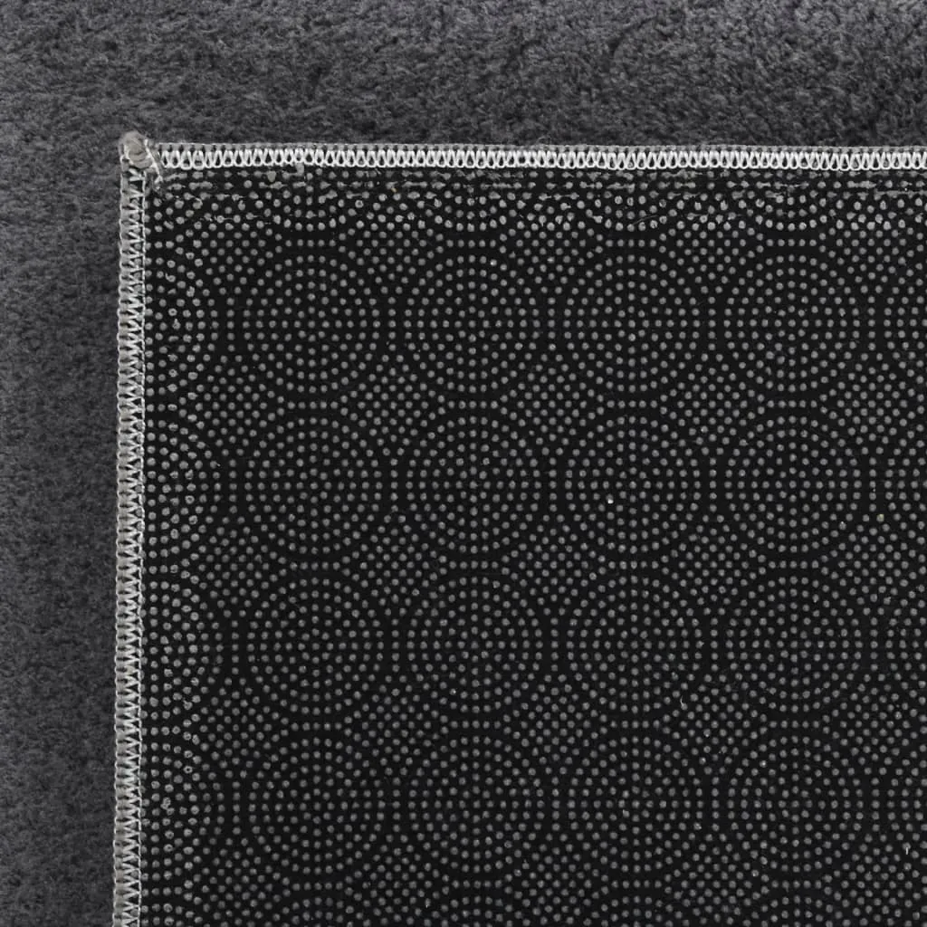 Shaggy Rug Washable Anti Slip Area Rug Soft Fluffy Carpet Polyester