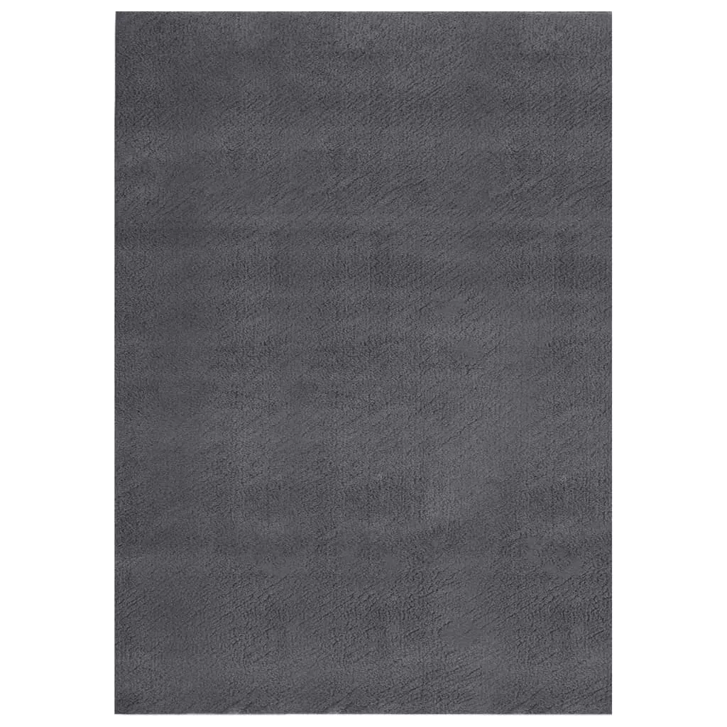 Shaggy Rug Washable Anti Slip Area Rug Soft Fluffy Carpet Polyester