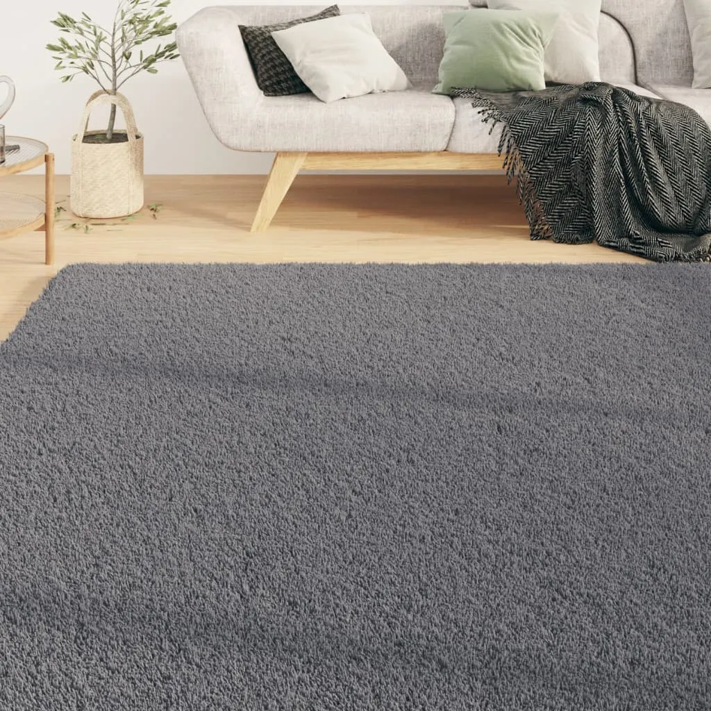 Shaggy Rug Washable Anti Slip Area Rug Soft Fluffy Carpet Polyester