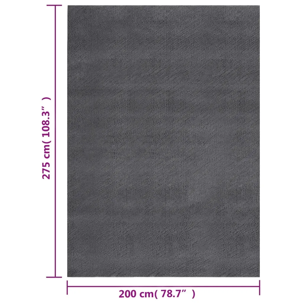 Shaggy Rug Washable Anti Slip Area Rug Soft Fluffy Carpet Polyester