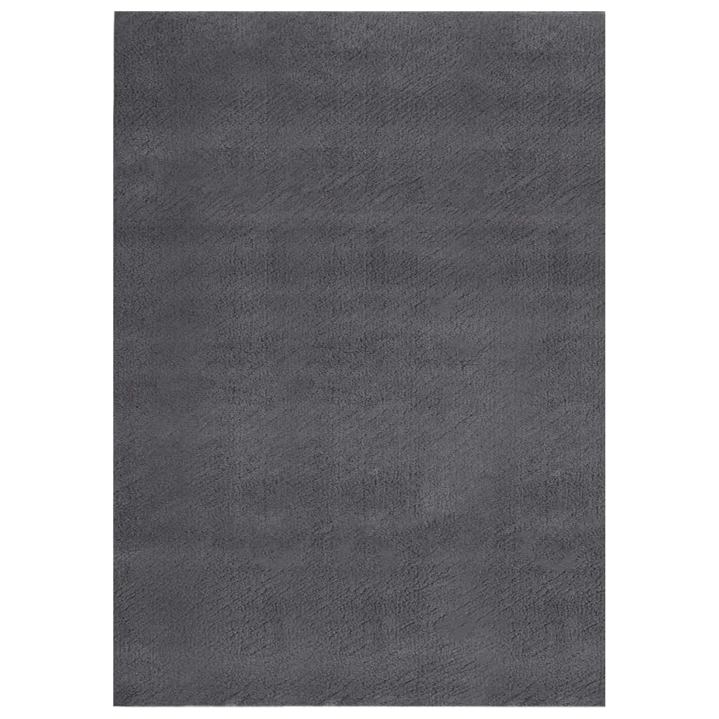 Shaggy Rug Washable Anti Slip Area Rug Soft Fluffy Carpet Polyester