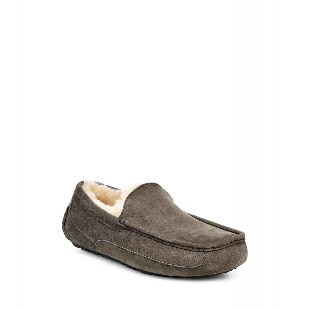 UGG Ascot Mens Slipper