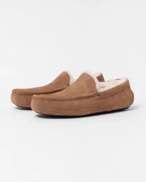 UGG Ascot Mens Slipper