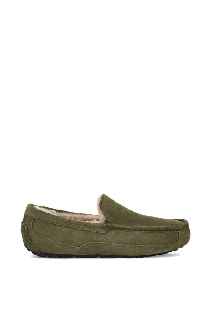 UGG ASCOT
