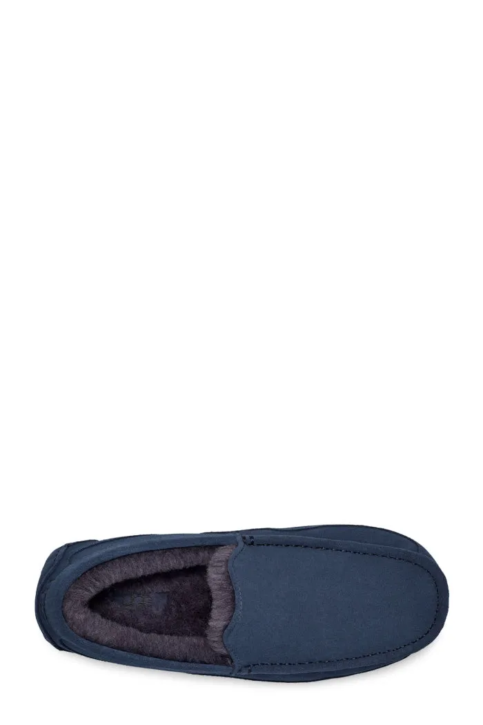 UGG ASCOT