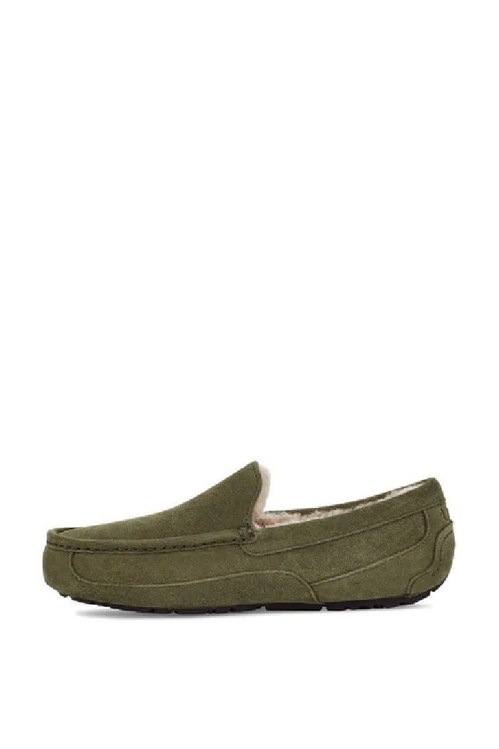 UGG ASCOT