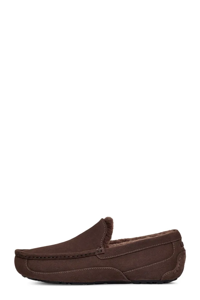 UGG ASCOT