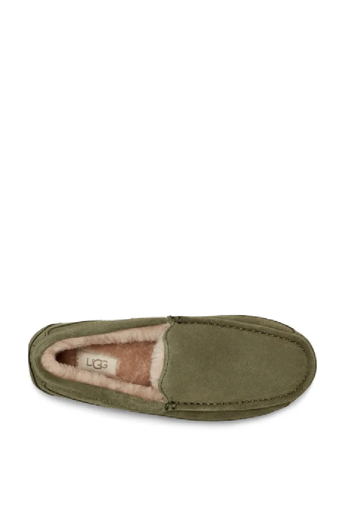 UGG ASCOT