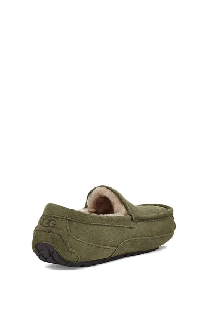 UGG ASCOT