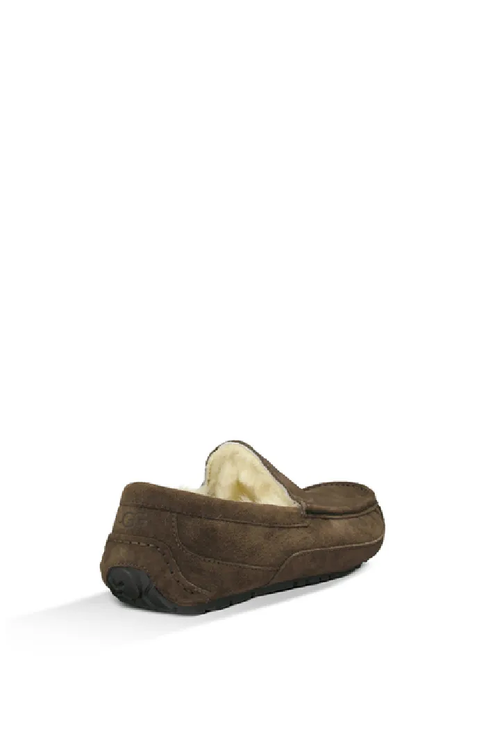 UGG ASCOT