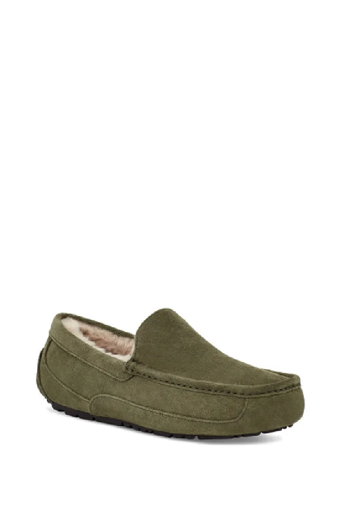 UGG ASCOT