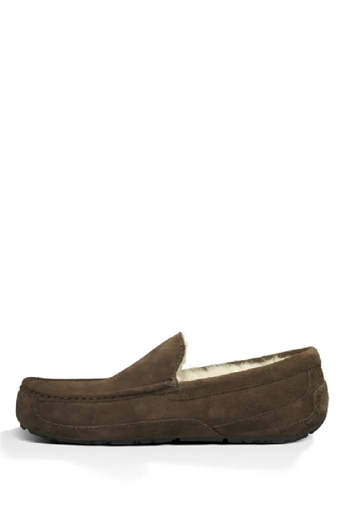 UGG ASCOT