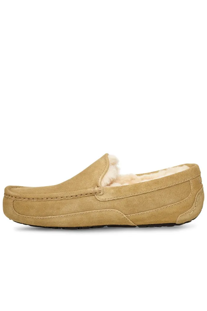 UGG ASCOT