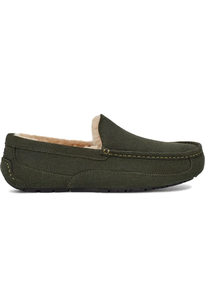 UGG ASCOT