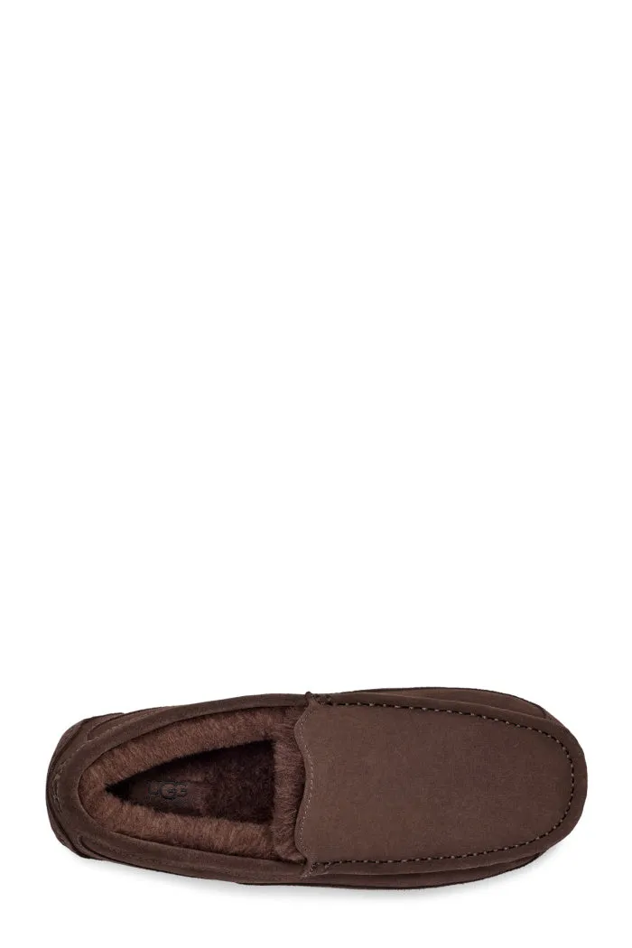 UGG ASCOT