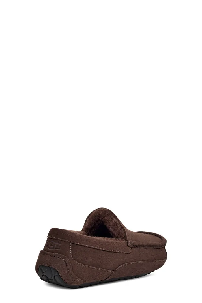 UGG ASCOT