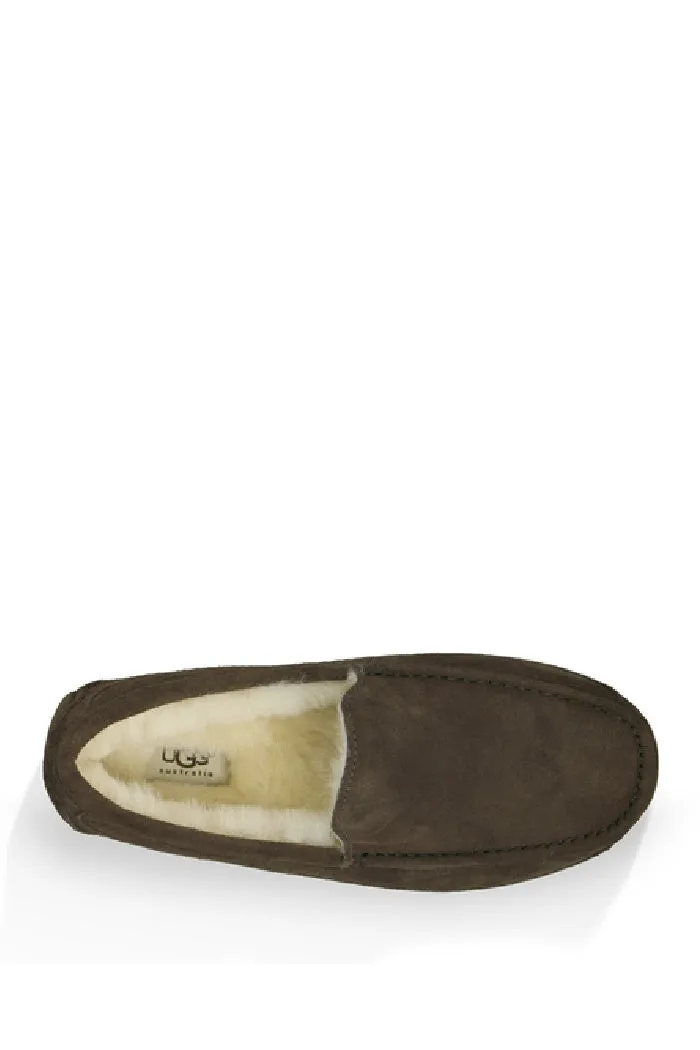 UGG ASCOT