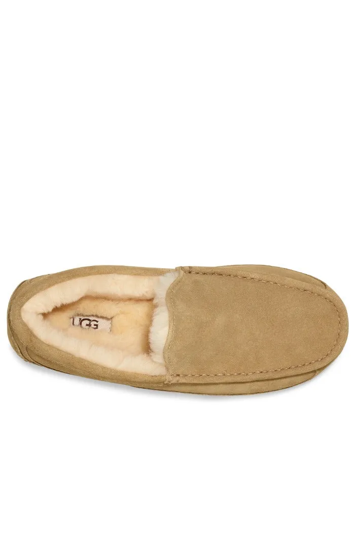 UGG ASCOT