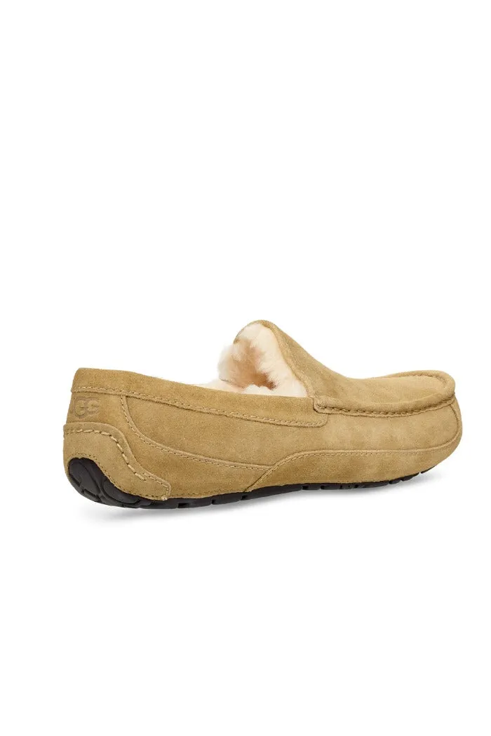 UGG ASCOT