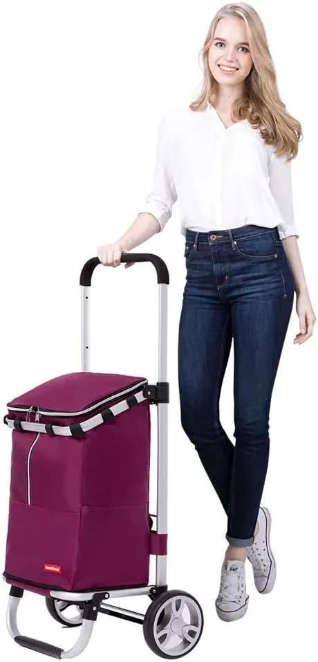 Utility Shopping Cart Folding Shopping Cart Aluminum Trolley Third Gear Telescopic Small Trolley Portable Shopping Trolley 38.7 * 15.15 * 17.7 Inches Portable Grocery Cart to Save Space